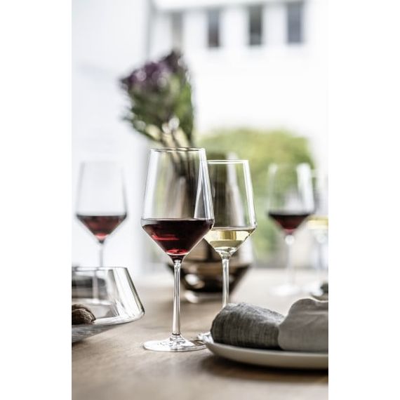 Набор бокалов для Рислинга (Riesling) 300 мл, 6 шт., серия Pure (Belfesta), Zwiesel Glas, изображение 8